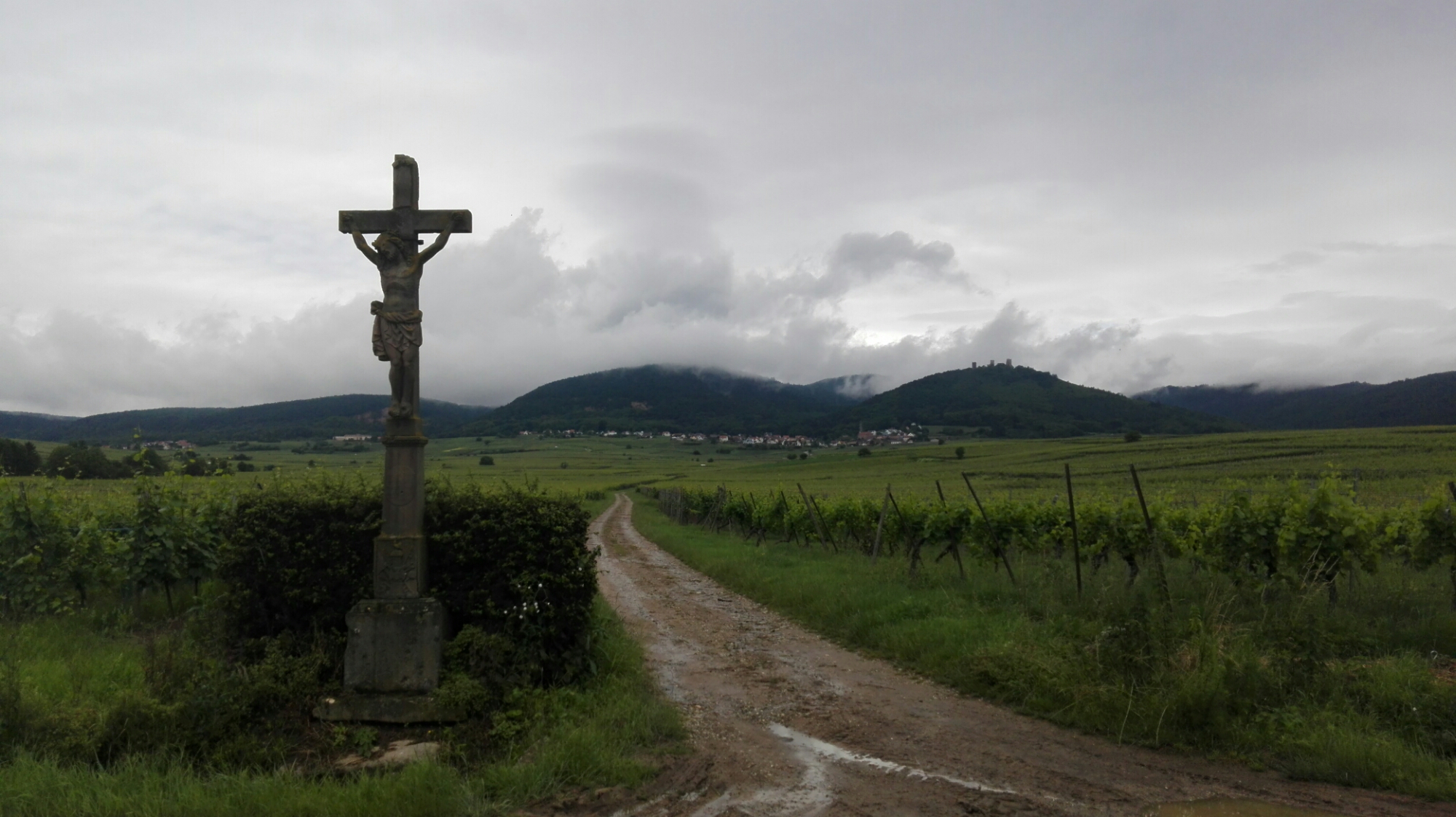 IMG_20160616_120150.jpg image