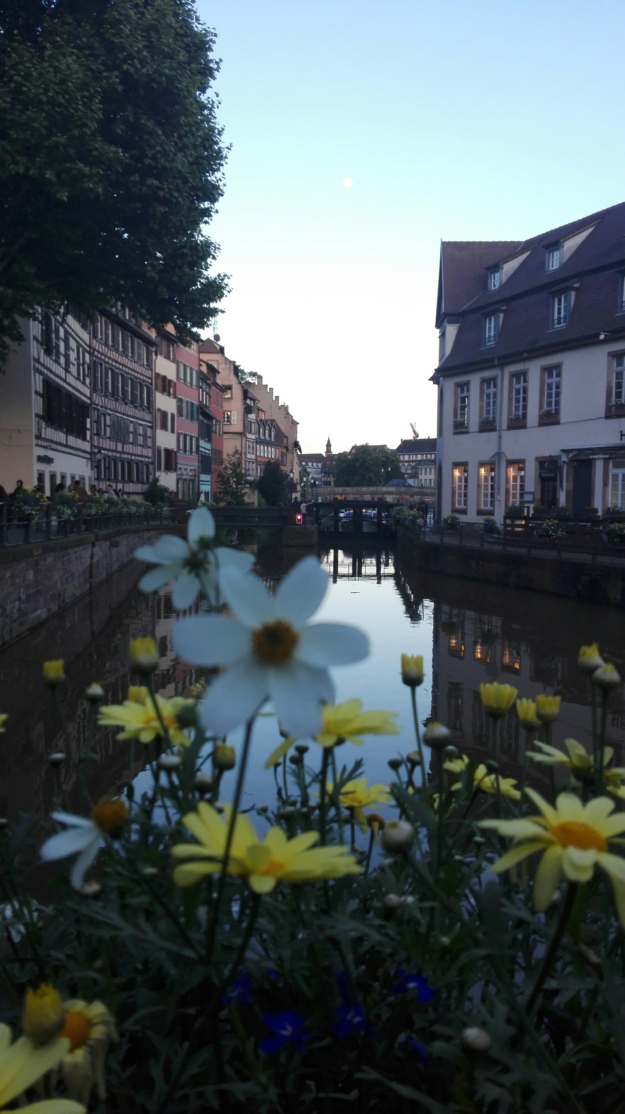 IMG_20160617_210920.jpg image