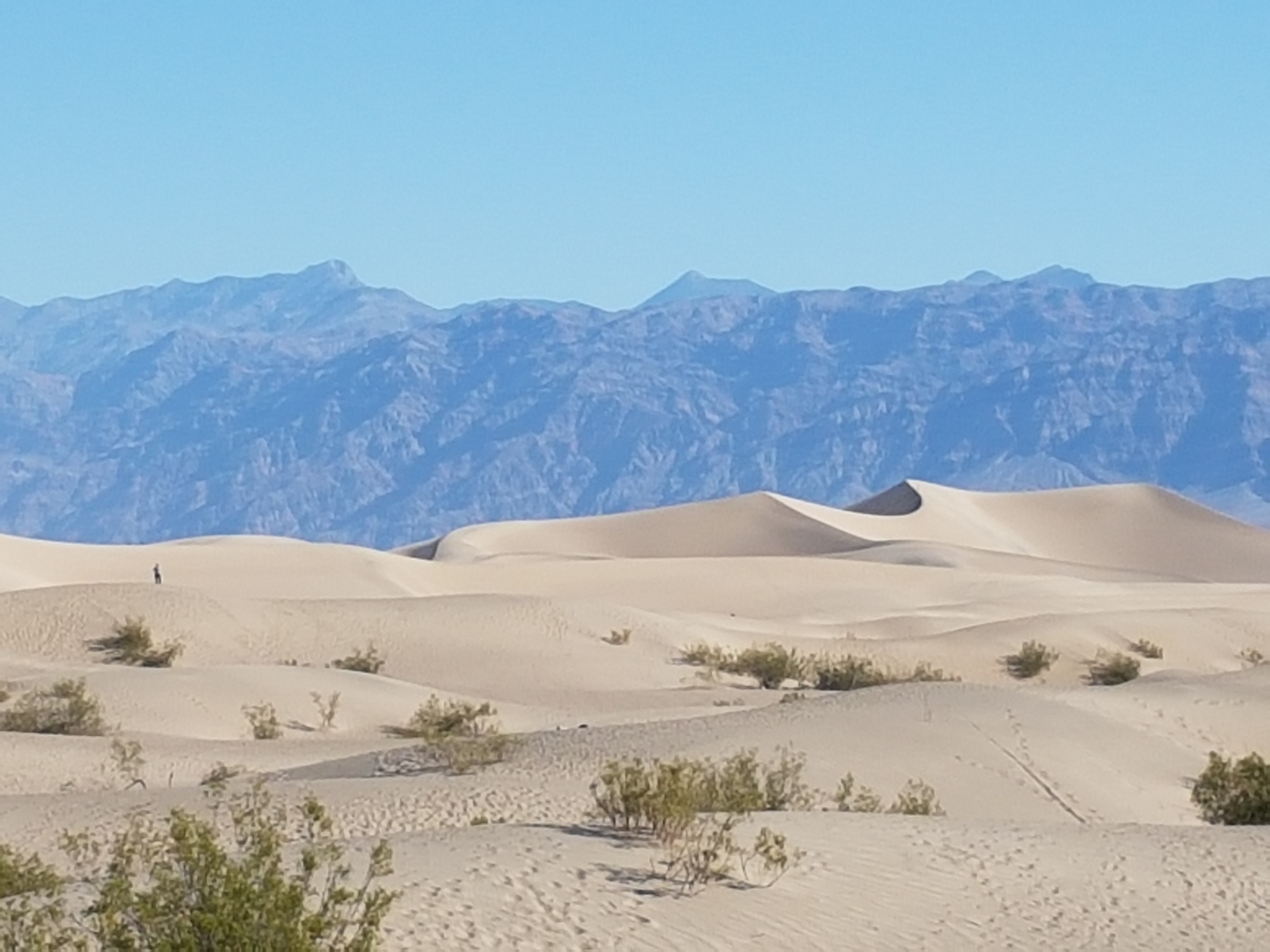 MESQUITE FLAT diario di bordo