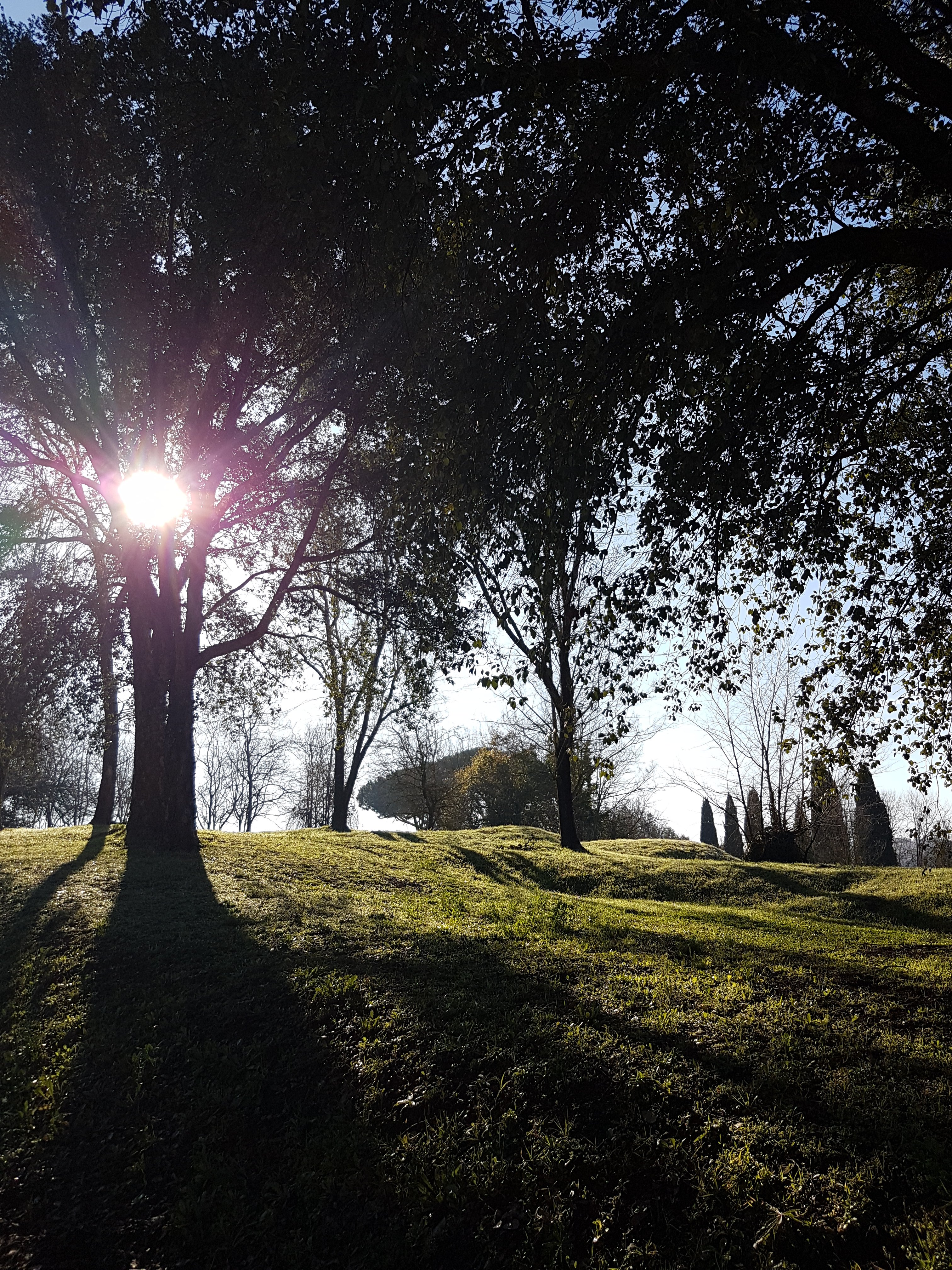 Marco vignaroli villa Livia 