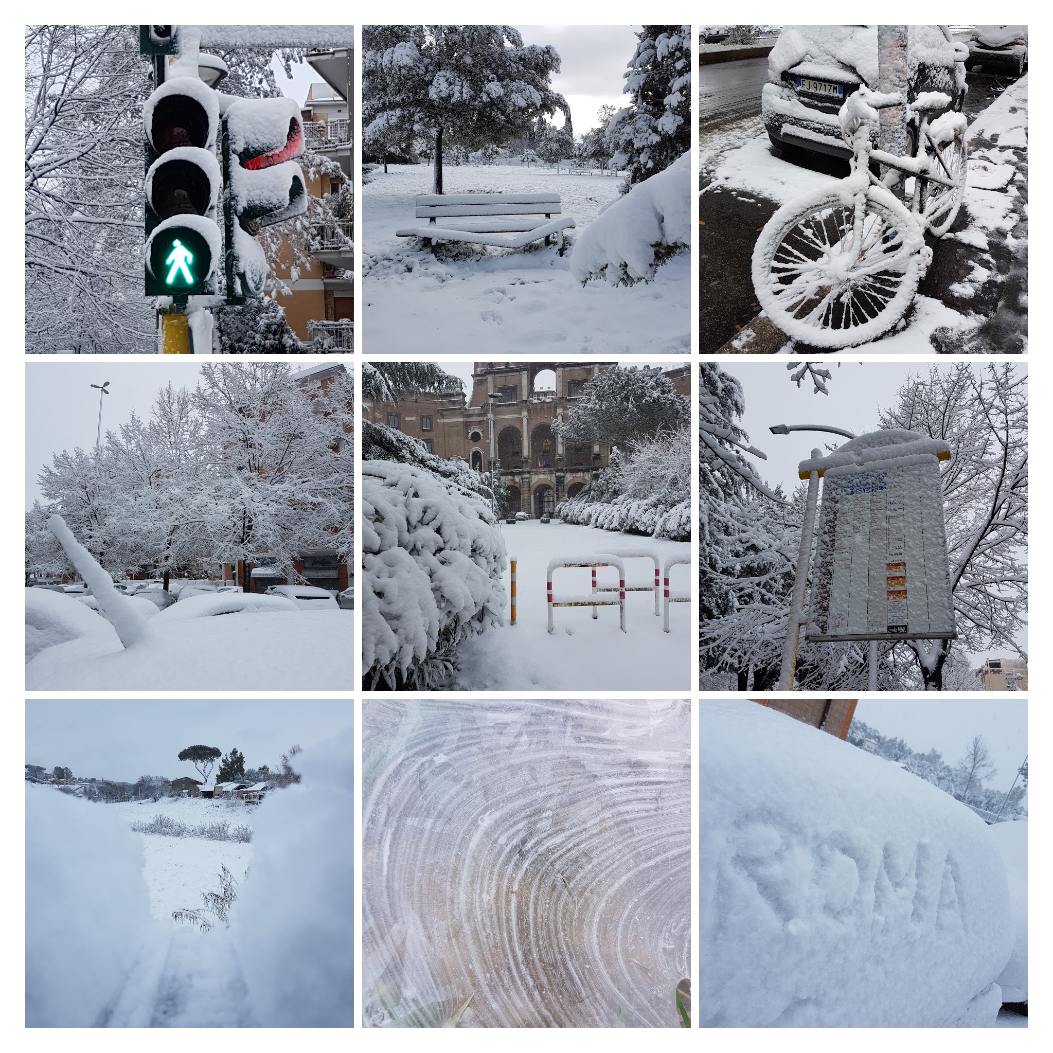 20180226_080415-COLLAGE